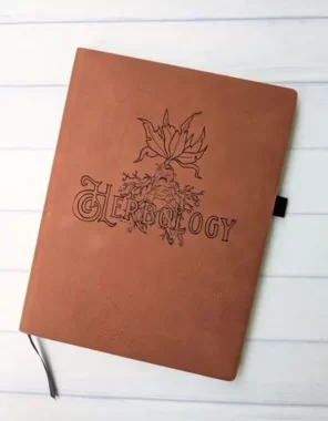 rs=w_600,cg_true (1)