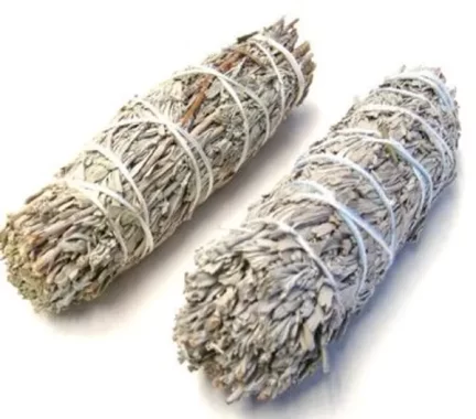 rs=w_600,cg_true,m (3)